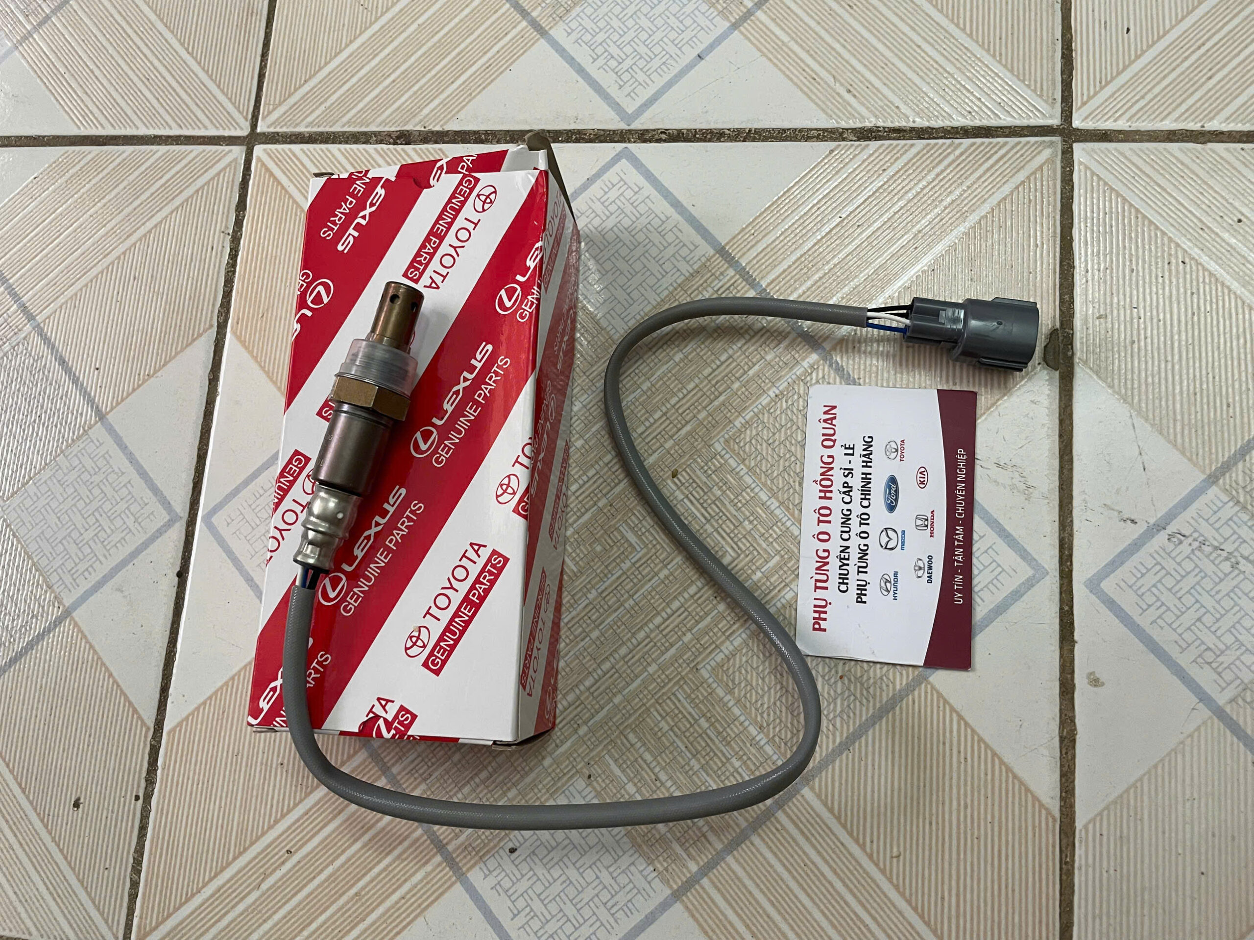 z7051417974468_615bf00c9c6b7800ce73fee54d224c16