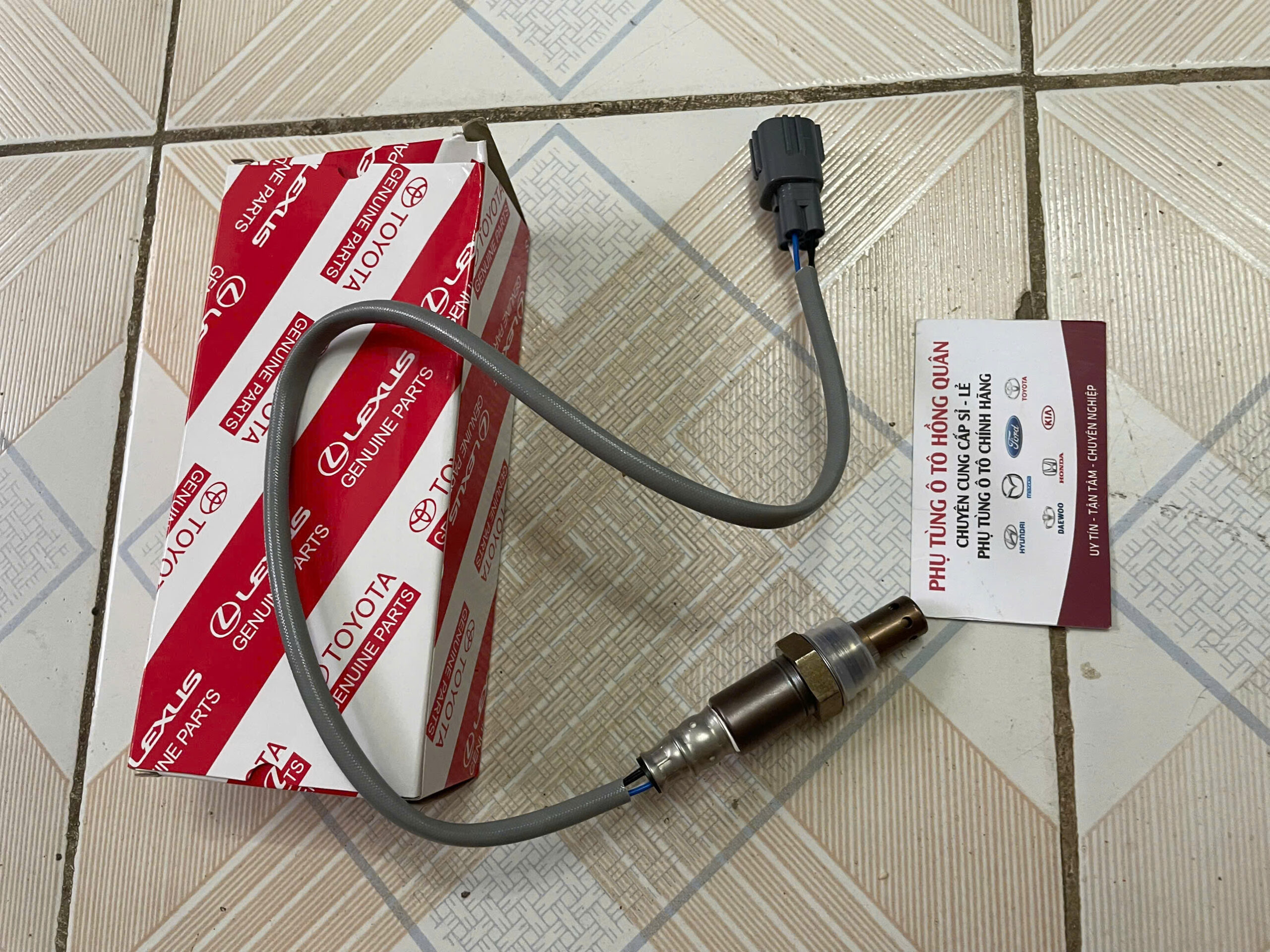 z7051417988449_1f4b2ca9e22a5aa4db1d6fae2213b0ec