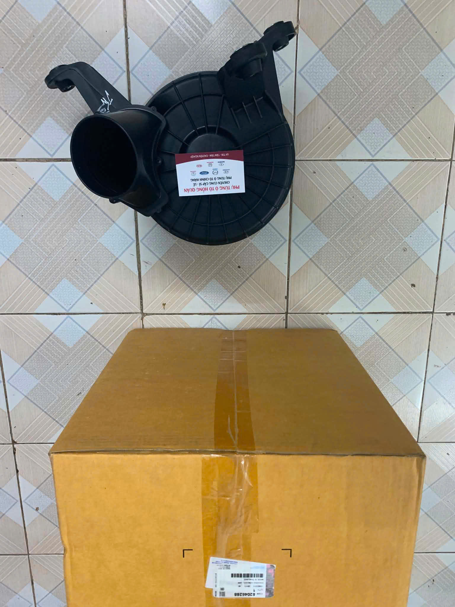 1782546212494_5032540259505077143_g7848953463652477101_e02b377f45915a4c1300a2f22fecad5f